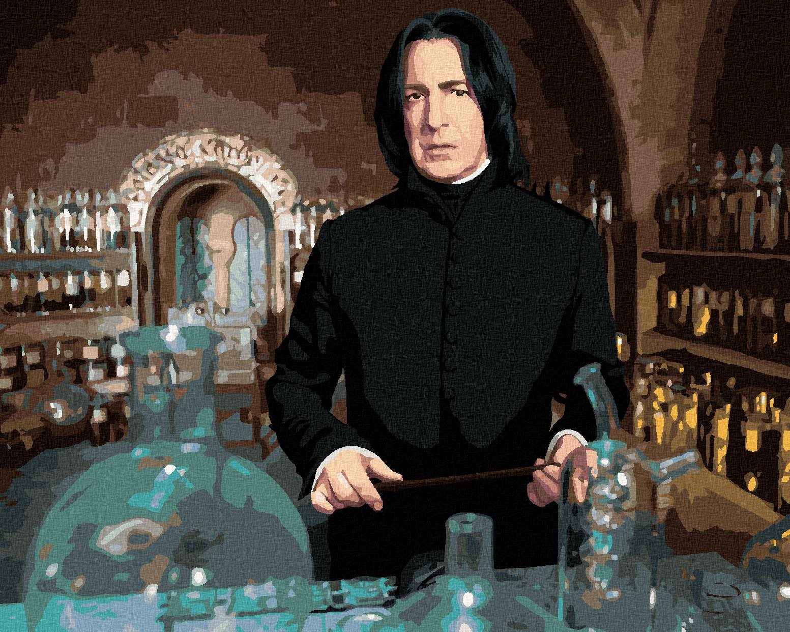 Zuty – Maľovanie podľa čísel – Severus Snape v učebni lektvarov (Harry Potter), 40 × 50 cm, plátno + rám