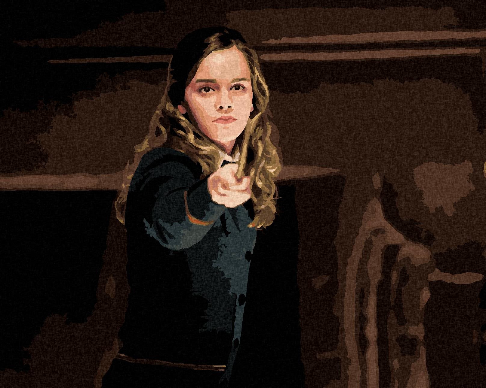 Zuty – Maľovanie podľa čísel – Hermiona s paličkou (Harry Potter), 40 × 50 cm, plátno