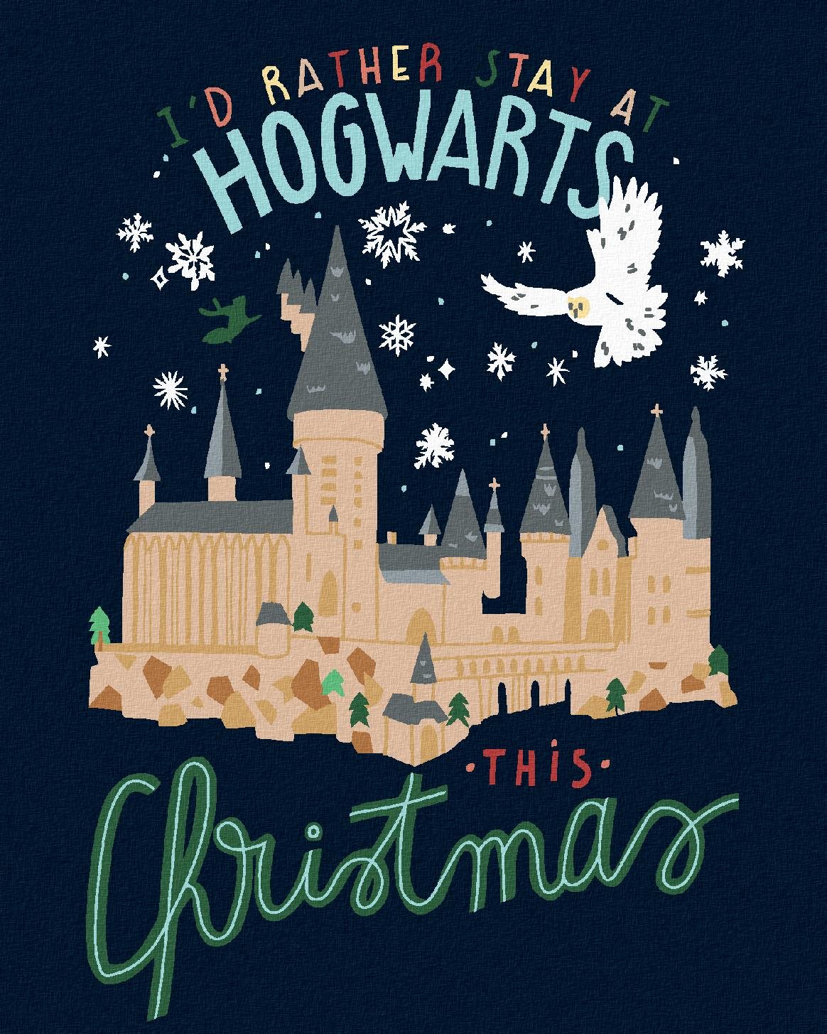 Zuty – Maľovanie podľa čísel – Vianoce v Rokforte (Harry Potter), 40 × 50 cm, plátno