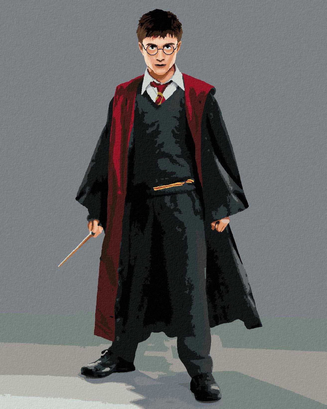 Zuty – Maľovanie podľa čísel – Harry Potter v habite s prútikom, 40 × 50 cm, plátno