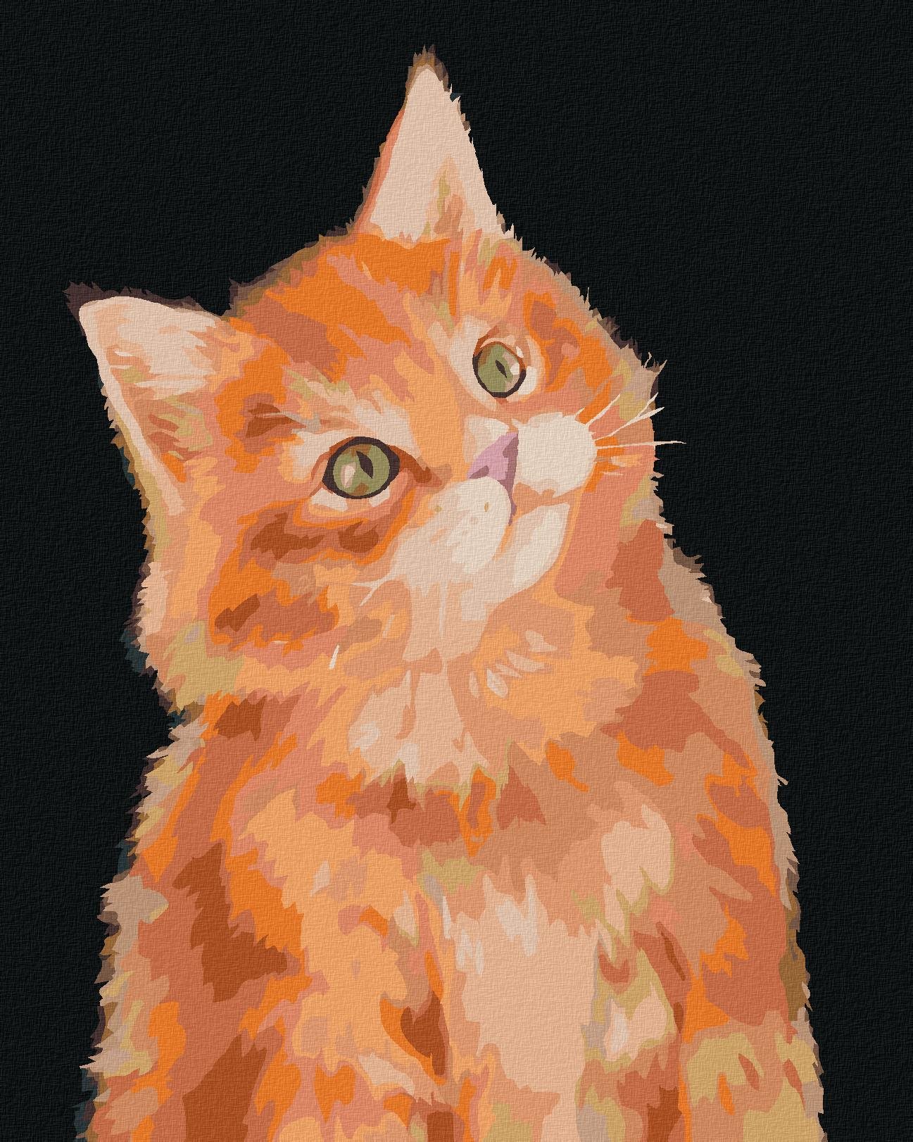 Zuty – Maľovanie Podľa Čísel – Ryšavý Kocúr Na Tmavom Pozadí (Myroslava Voloschuk), 40 × 50 cm, Plátno
