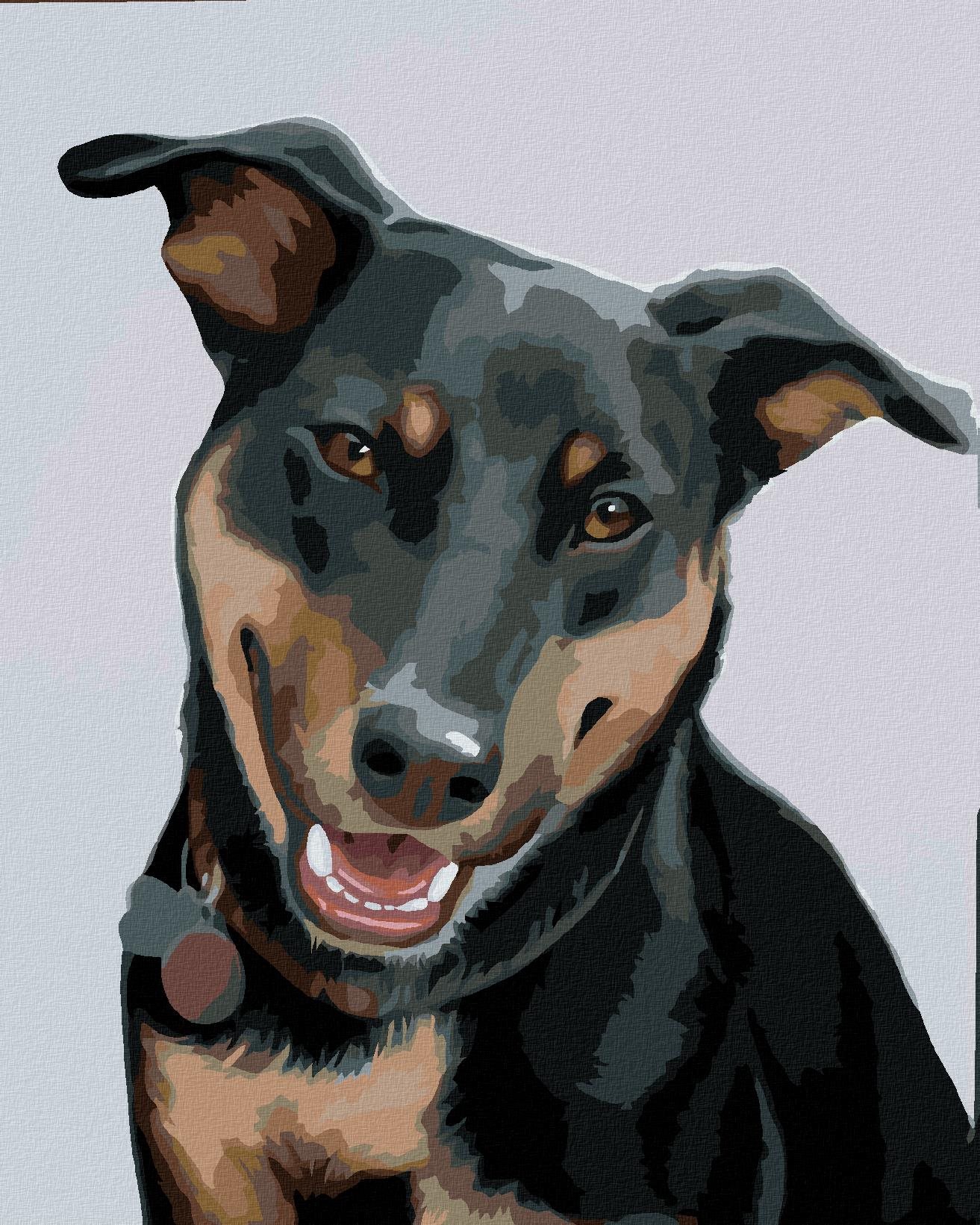 Zuty – Maľovanie Podľa Čísel – Rotvajler 2 (Myroslava Voloschuk), 40 × 50 cm, Plátno + Rám