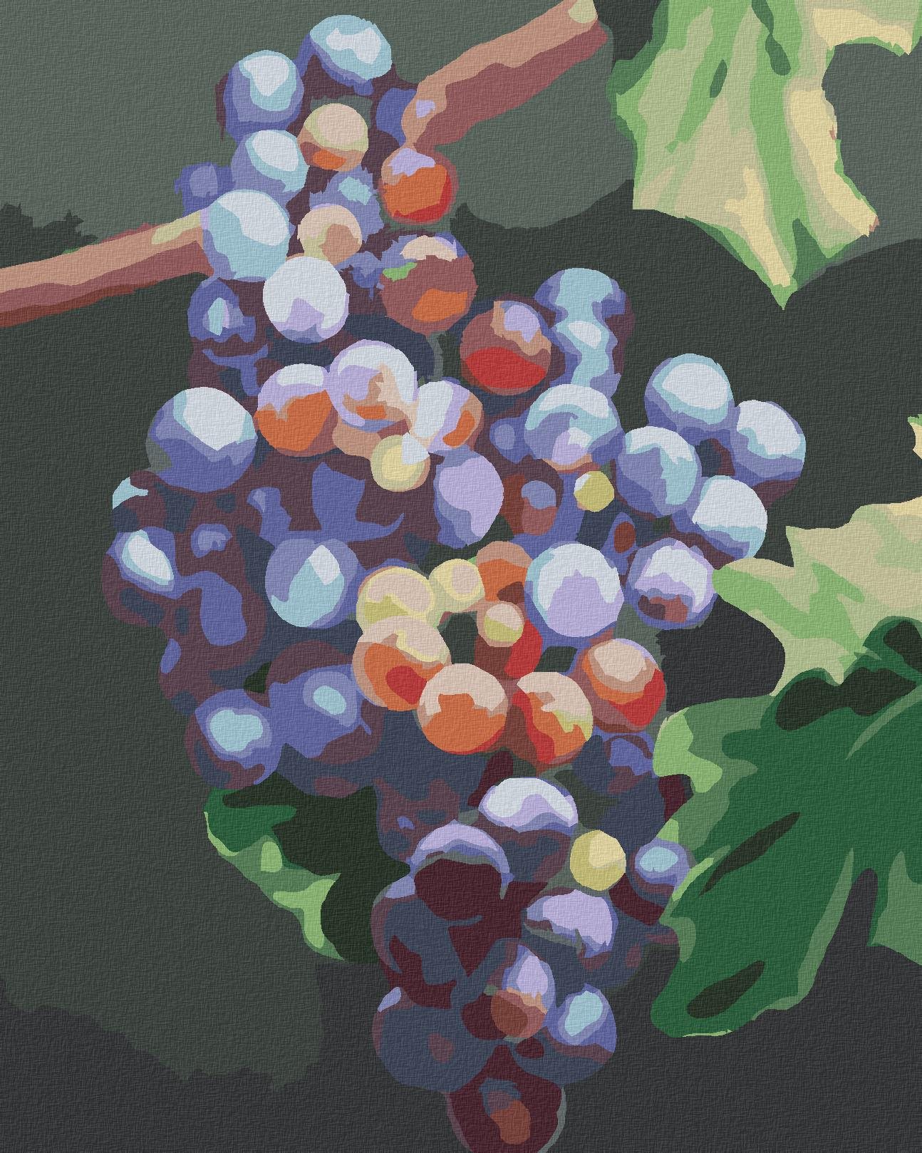 Zuty – Maľovanie Podľa Čísel – Modré Hrozno (Myroslava Voloschuk), 40 × 50 cm, Plátno