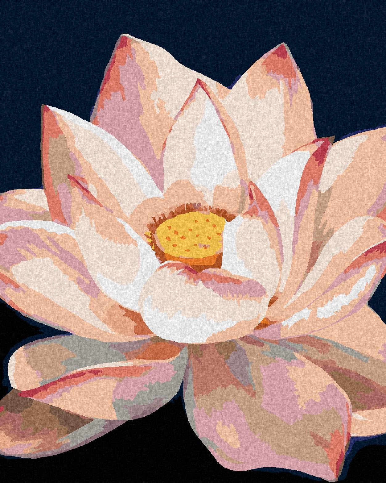 Zuty – Maľovanie Podľa Čísel – Lekno (Myroslava Voloschuk), 40 × 50 cm, Plátno