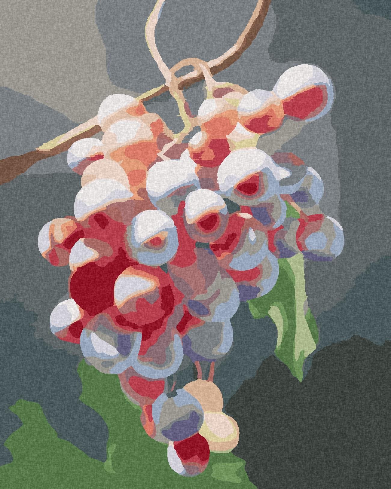 Zuty – Maľovanie Podľa Čísel – Hrozno 2 (Myroslava Voloschuk), 40 × 50 cm, Plátno