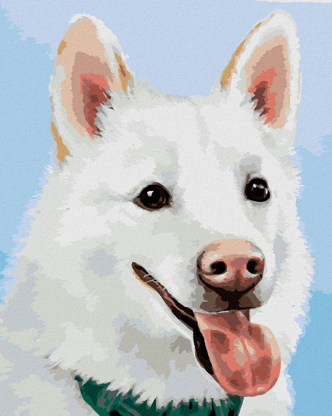 Zuty – Maľovanie Podľa Čísel – Biely Švajčiarsky Ovčiak (Myroslava Voloschuk), 80 × 100 cm, Plátno