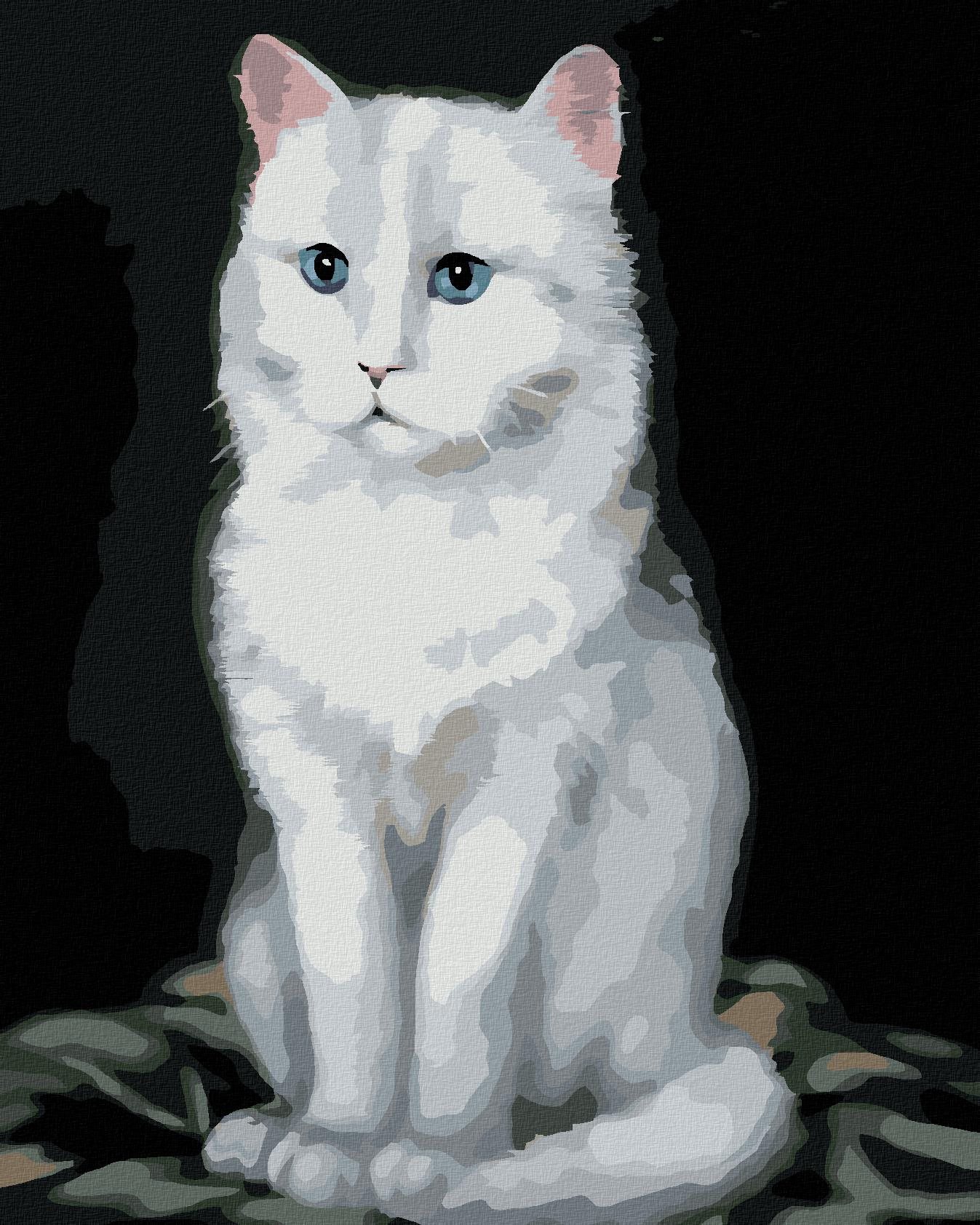 Zuty – Maľovanie Podľa Čísel – Biely Kocúr 2 (Myroslava Voloschuk), 40 × 50 cm, Plátno + Rám