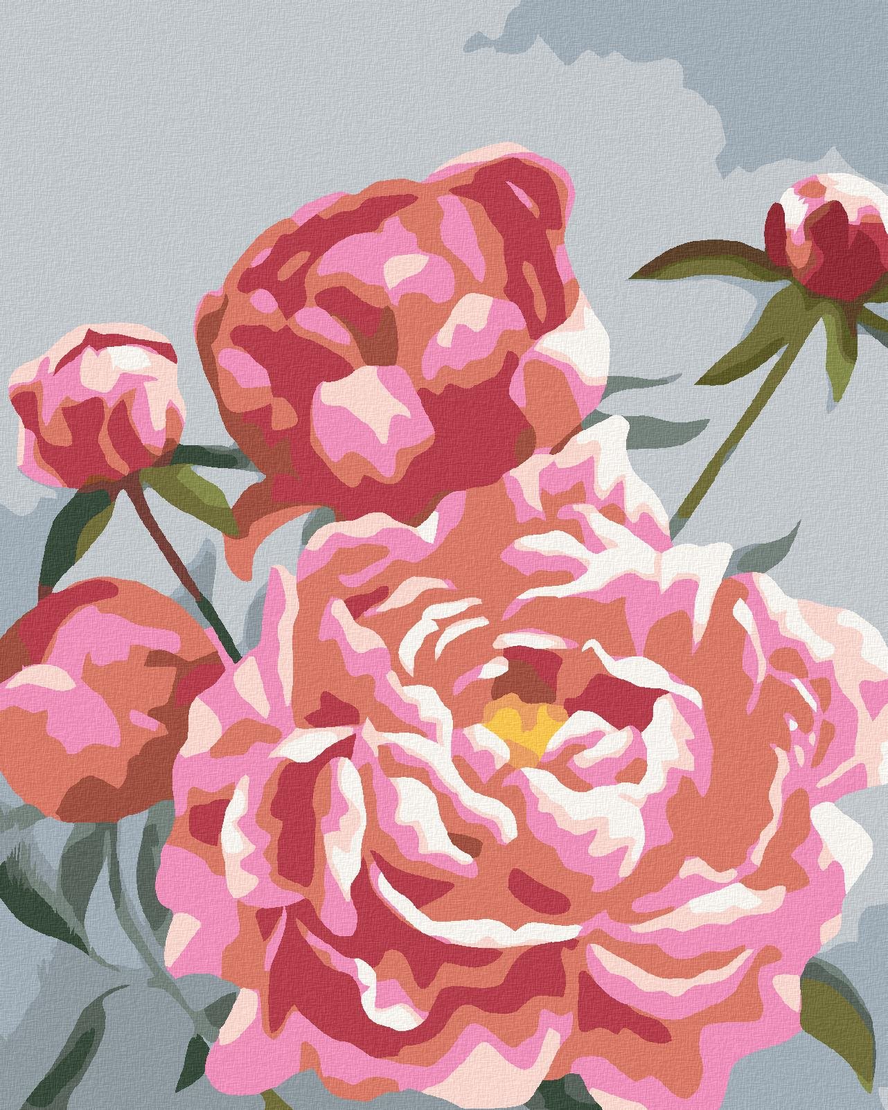 Zuty – Maľovanie Podľa Čísel – Pivonky 4 (Myroslava Voloschuk), 40 × 50 cm, Plátno + Rám