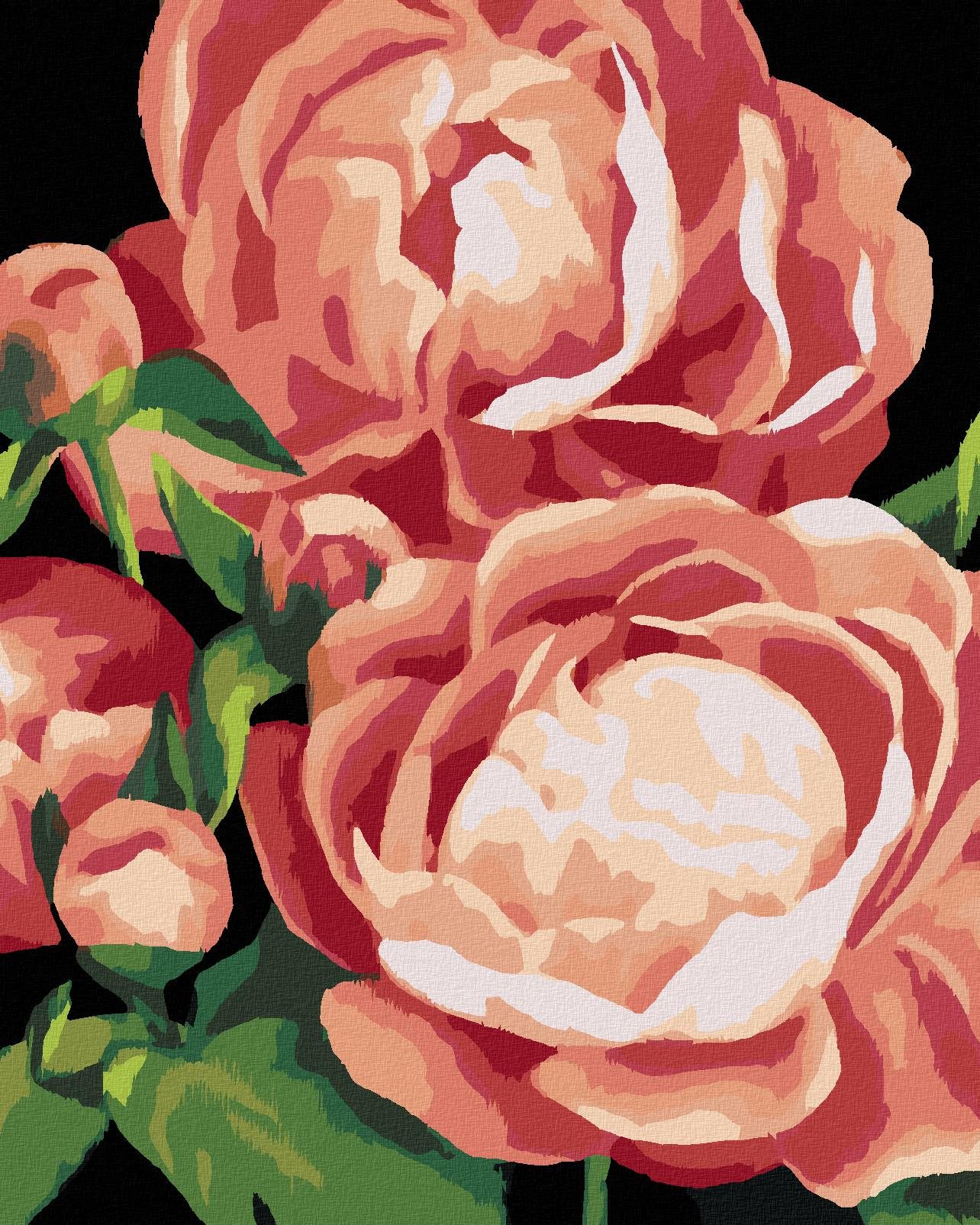 Zuty – Maľovanie Podľa Čísel – Pivonky 3 (Myroslava Voloschuk), 40 × 50 cm, Plátno