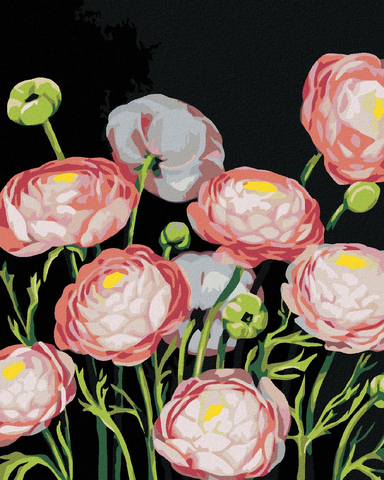 Zuty – Maľovanie Podľa Čísel – Pivonky (Myroslava Voloschuk), 40 × 50 cm, Plátno + Rám