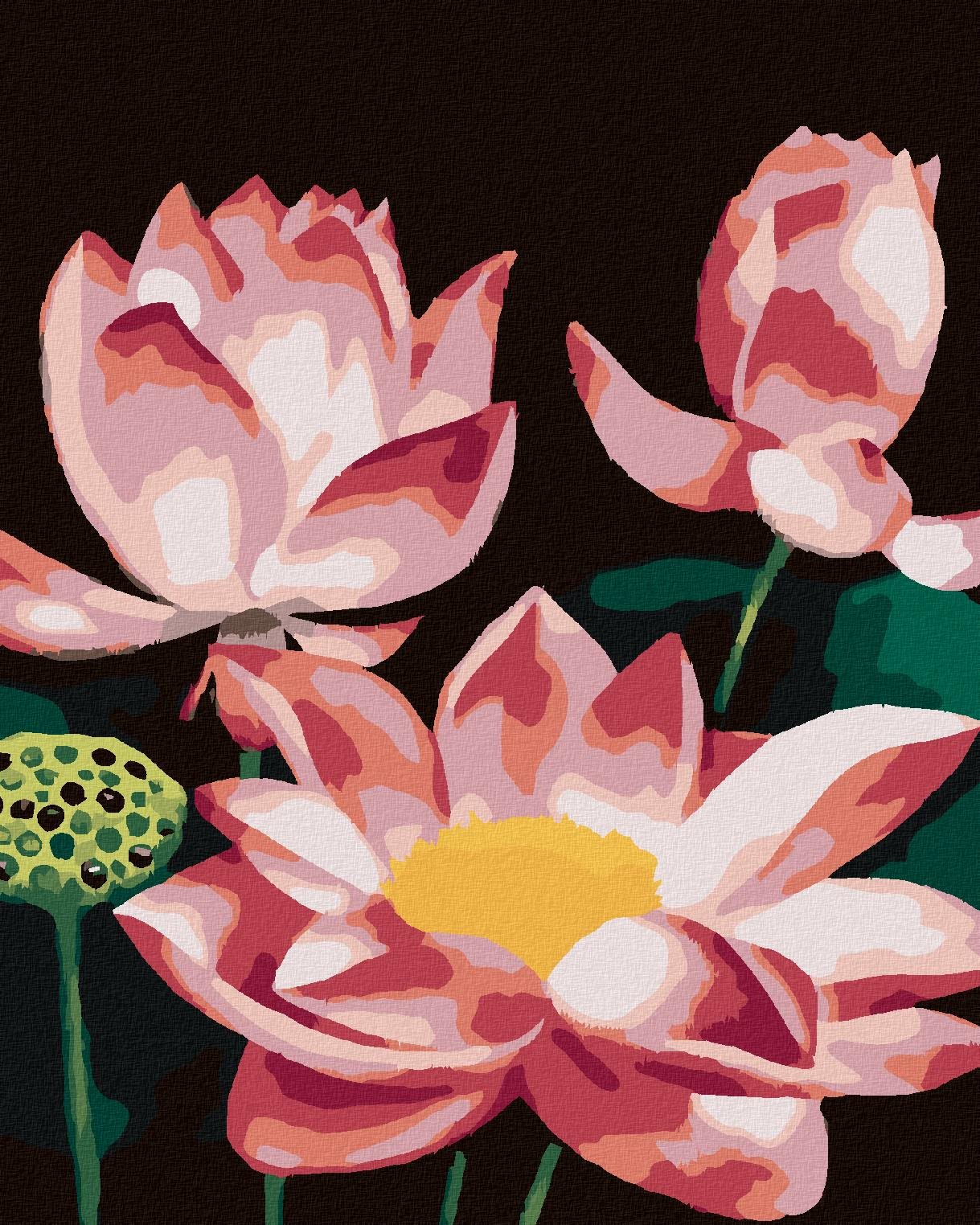 Zuty – Maľovanie Podľa Čísel – Ružové Lekno (Myroslava Voloschuk), 80 × 100 cm, Plátno