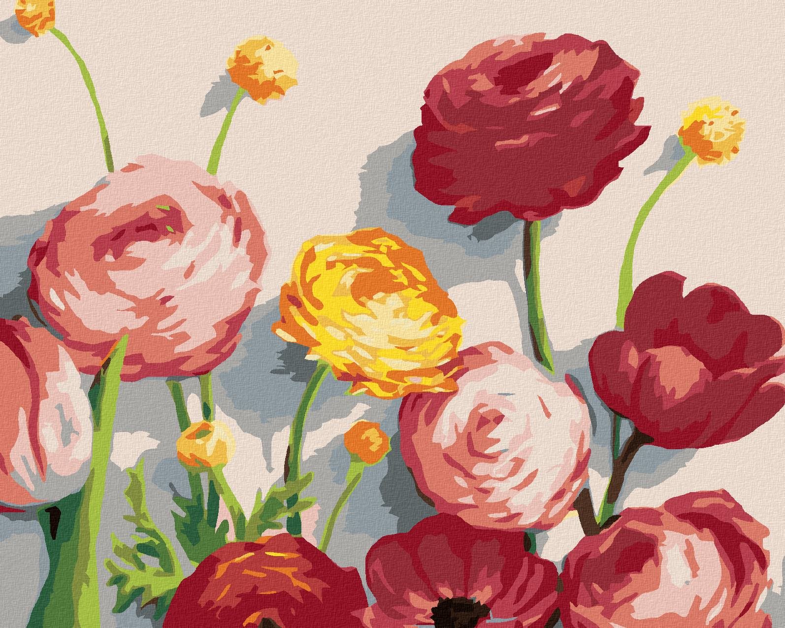 Zuty – Maľovanie Podľa Čísel – Pivonky A Tulipány (Myroslava Voloschuk), 40 × 50 cm, Plátno