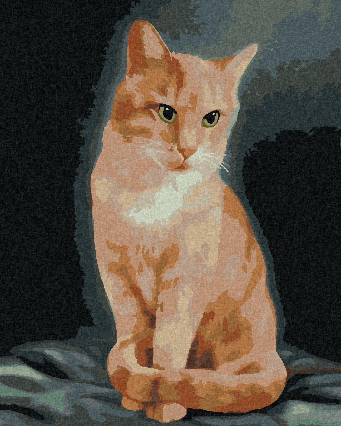Zuty – Maľovanie podľa čísel – Ryšavý kocúr (Myroslava Voloschuk), 80 × 100 cm, plátno + rám