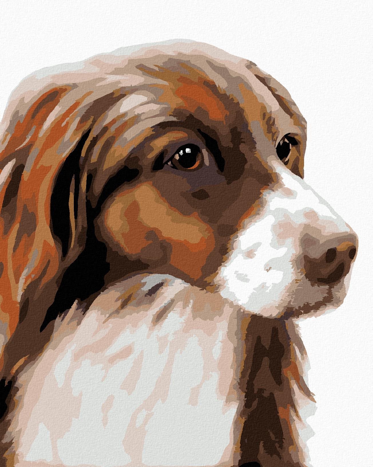 Zuty – Maľovanie Podľa Čísel – Kokeršpaniel (Myroslava Voloschuk), 40 × 50 cm, Plátno + Rám