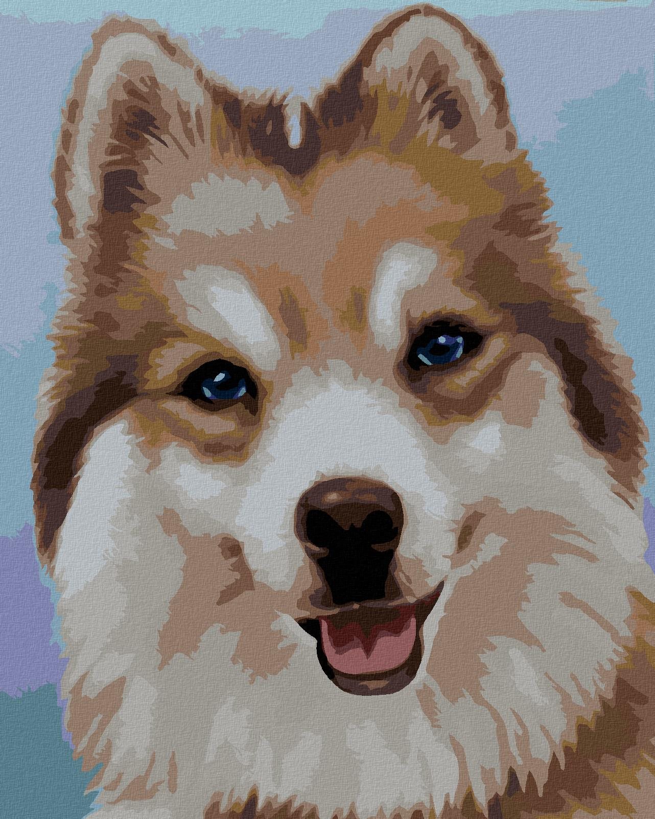 Zuty – Maľovanie Podľa Čísel – Husky (Myroslava Voloschuk), 40 × 50 cm, Plátno + Rám