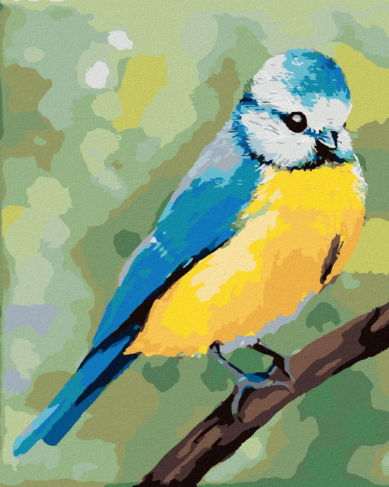 Zuty – Maľovanie Podľa Čísel – Modrý Vtáčik Sediaci Na Vetvičke (Myroslava Voloschuk), 40 × 50 cm, Plátno