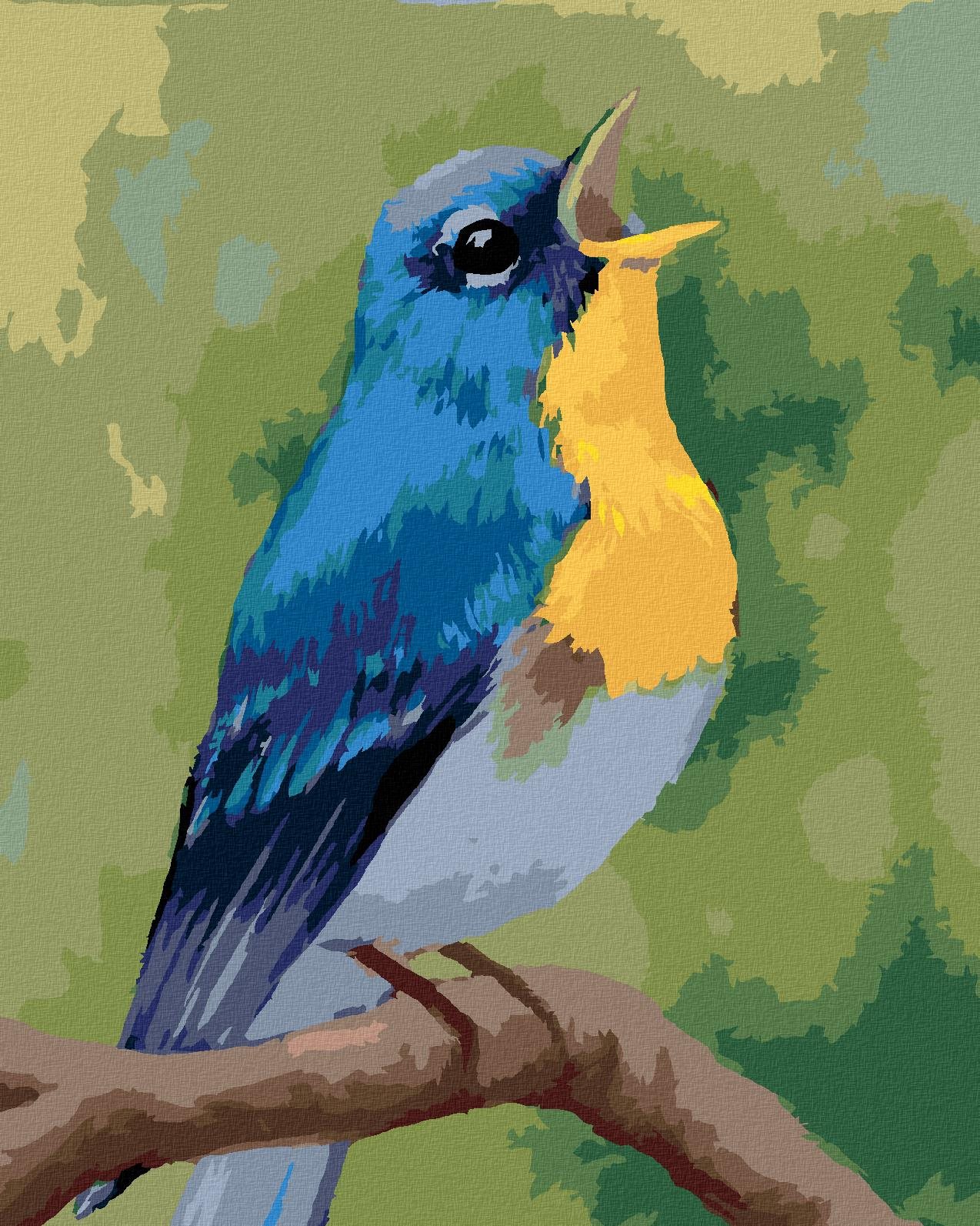 Zuty – Maľovanie Podľa Čísel – Modrý Vtáčik (Myroslava Voloschuk), 40 × 50 cm, Plátno + Rám