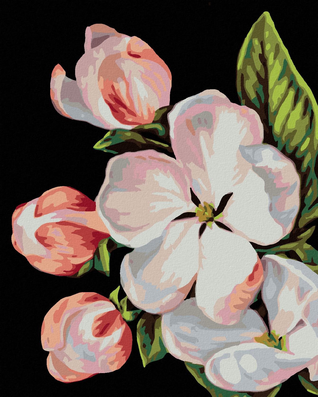 Zuty – Maľovanie Podľa Čísel – Kvet Jablone (Myroslava Voloschuk), 40 × 50 cm, Plátno