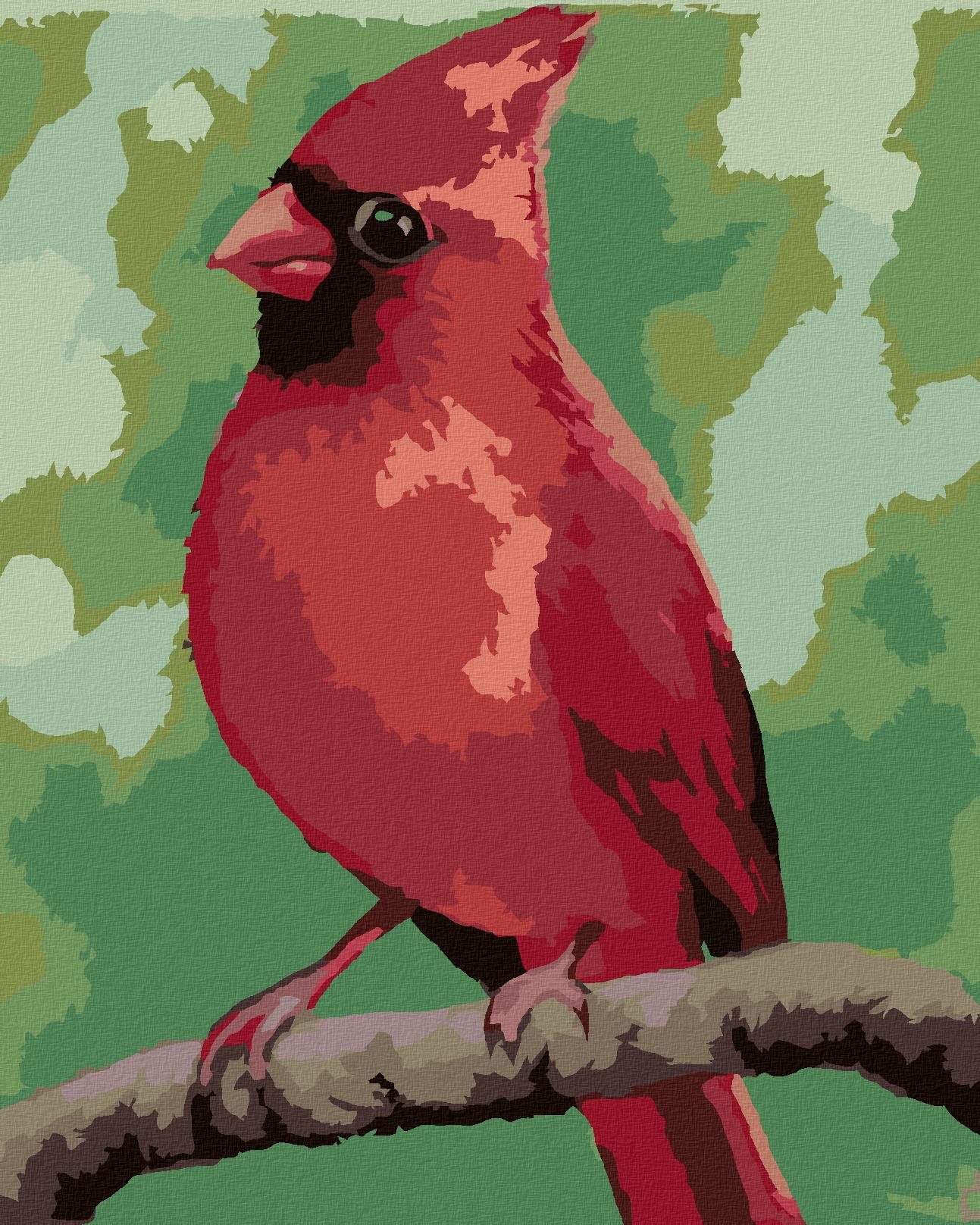 Zuty – Maľovanie Podľa Čísel – Červený VtáčIk (Myroslava Voloschuk), 40 × 50 cm, Plátno + Rám