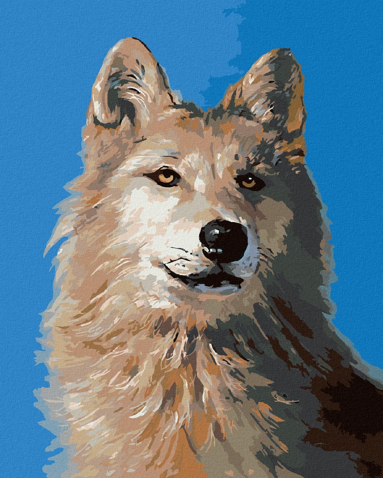 Zuty – Maľovanie Podľa Čísel – Vlk Portrét I (D. Rusty Rust), 40 × 50 cm, Plátno + Rám