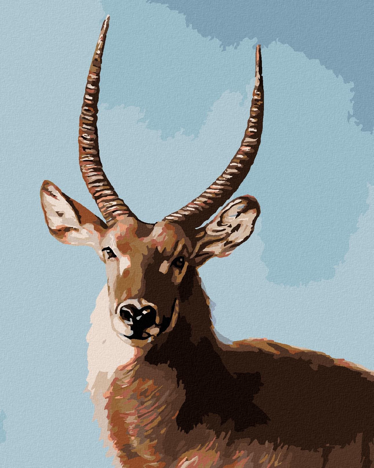 Zuty – Maľovanie Podľa Čísel – Antilopa Portrét (D. Rusty Rust), 40 × 50 cm, Plátno + Rám