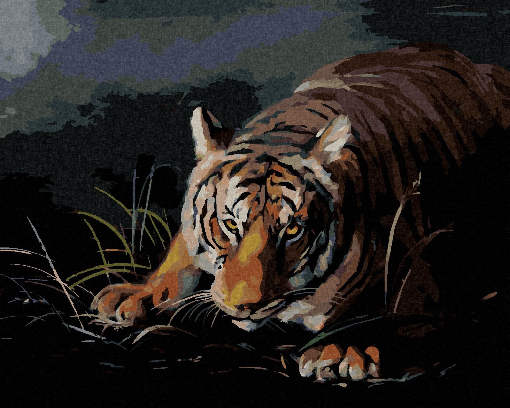 Zuty – Maľovanie podľa čísel – Tiger číhajúci v tme (D. Rusty Rust), 80 × 100 cm, plátno