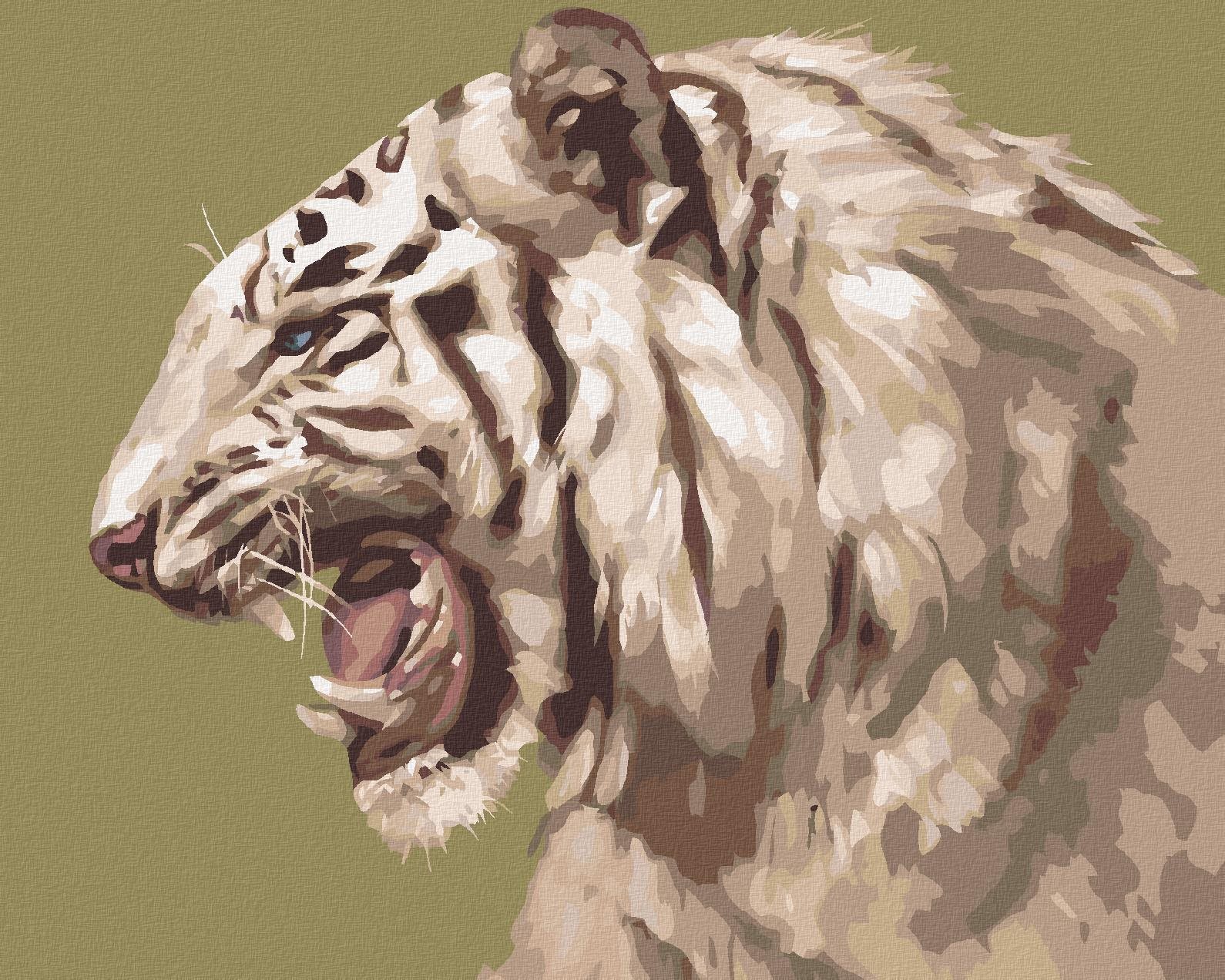 Zuty – Maľovanie podľa čísel – Revúci biely tiger portrét (D. Rusty Rust), 40 × 50 cm, plátno