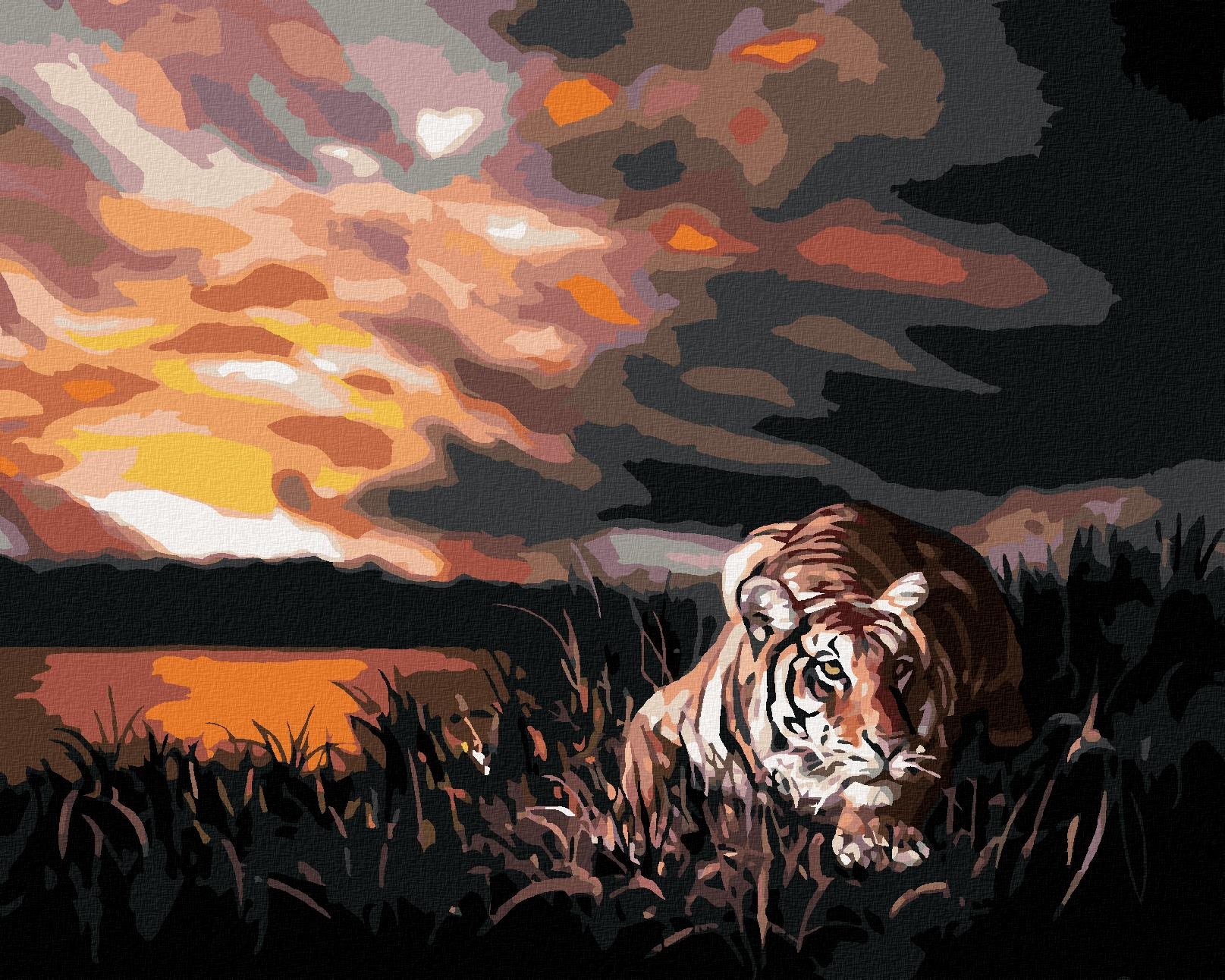 Zuty – Maľovanie podľa čísel – Číhajúci tiger a západ slnka (D. Rusty Rust), 40 × 50 cm, plátno + rám