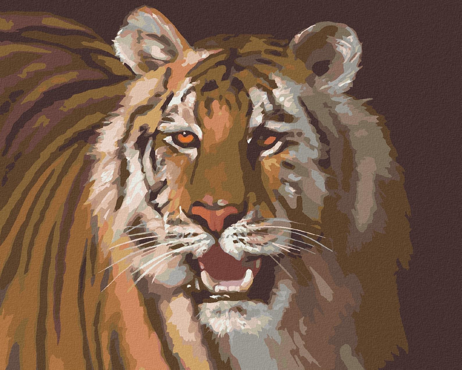 Zuty – Maľovanie Podľa Čísel – Tiger Portrét (D. Rusty Rust), 80 × 100 cm, Plátno