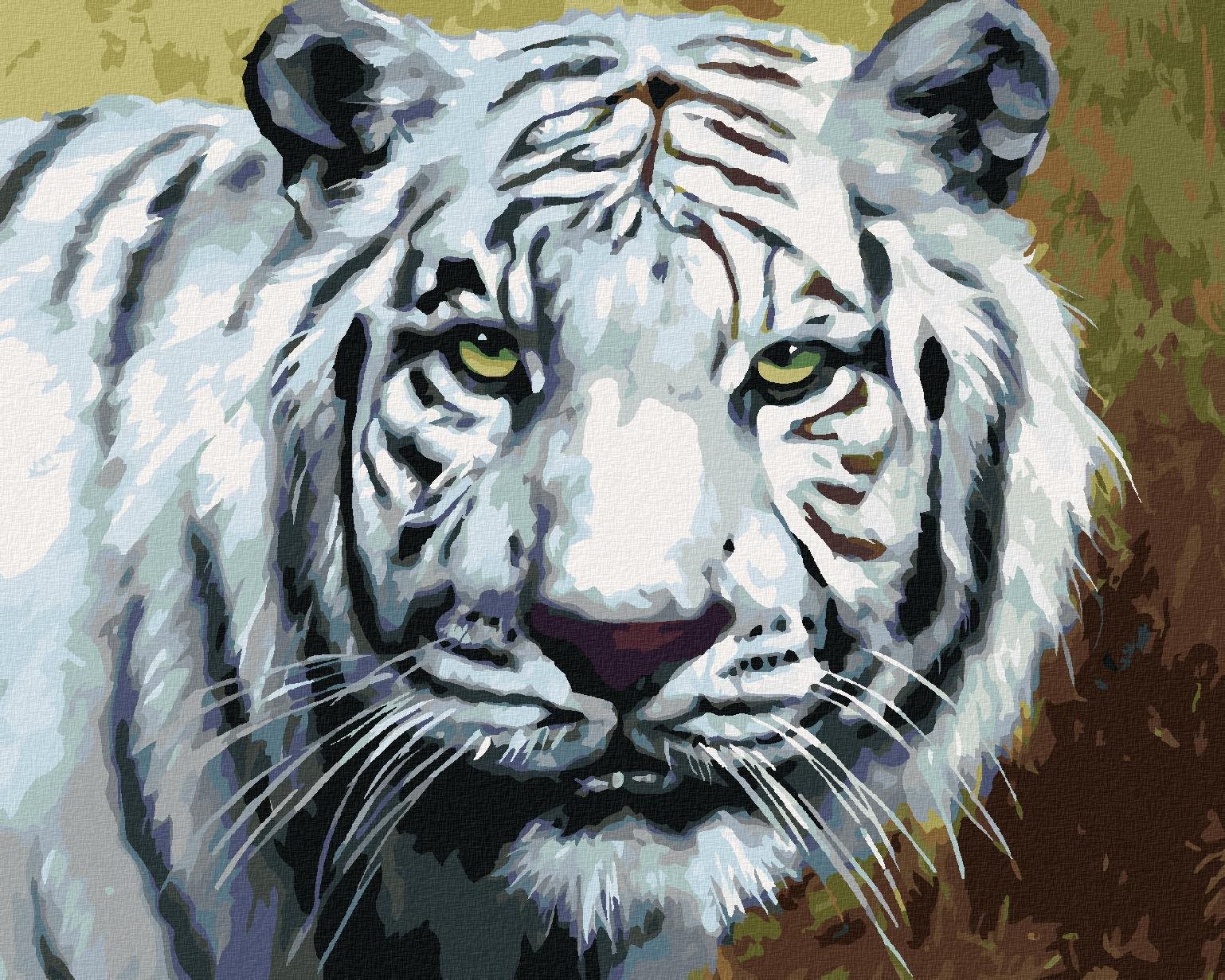 Zuty – Maľovanie podľa čísel – Biely tiger pohľad portrét (D. Rusty Rust), 40 × 50 cm, plátno
