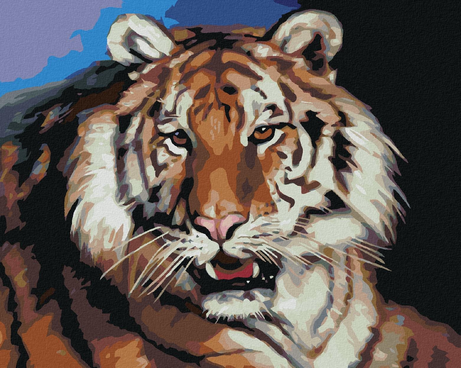 Zuty – Maľovanie Podľa Čísel – Tiger Portrét (D. Rusty Rust), 80 × 100 cm, Plátno + Rám