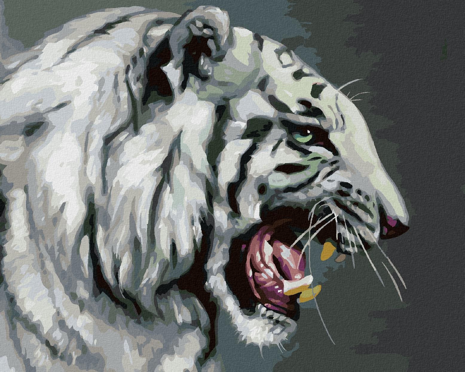 Zuty – Maľovanie podľa čísel – Revúci biely tiger portrét (D. Rusty Rust), 40 × 50 cm, plátno + rám