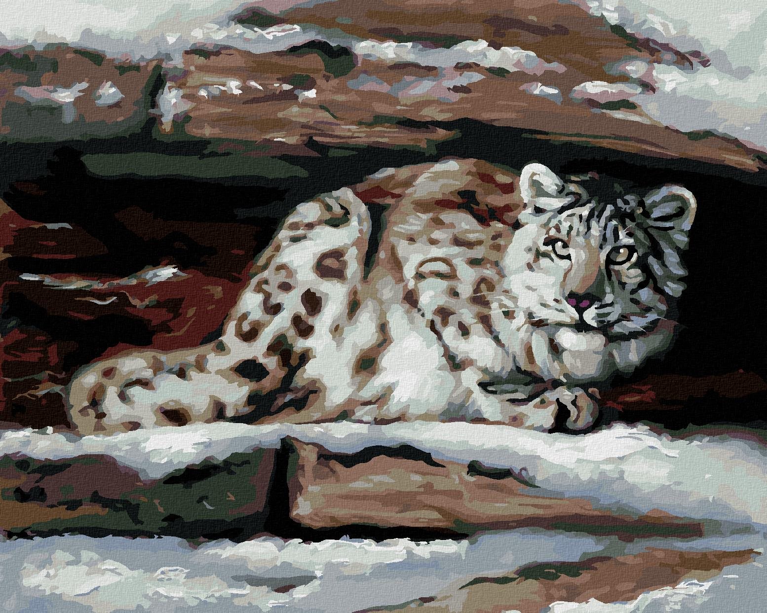 Zuty – Maľovanie podľa čísel – Snežný leopard v úkryte (D. Rusty Rust), 40 × 50 cm, plátno + rám