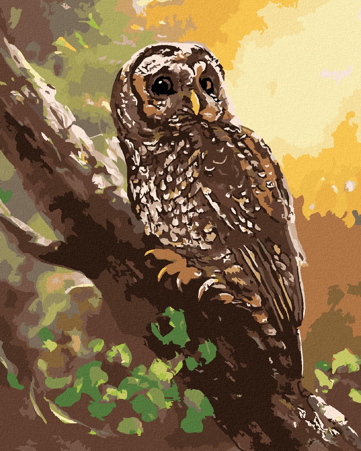 Zuty – Maľovanie podľa čísel – Sova na strome (D. Rusty Rust), 40 × 50 cm, plátno + rám