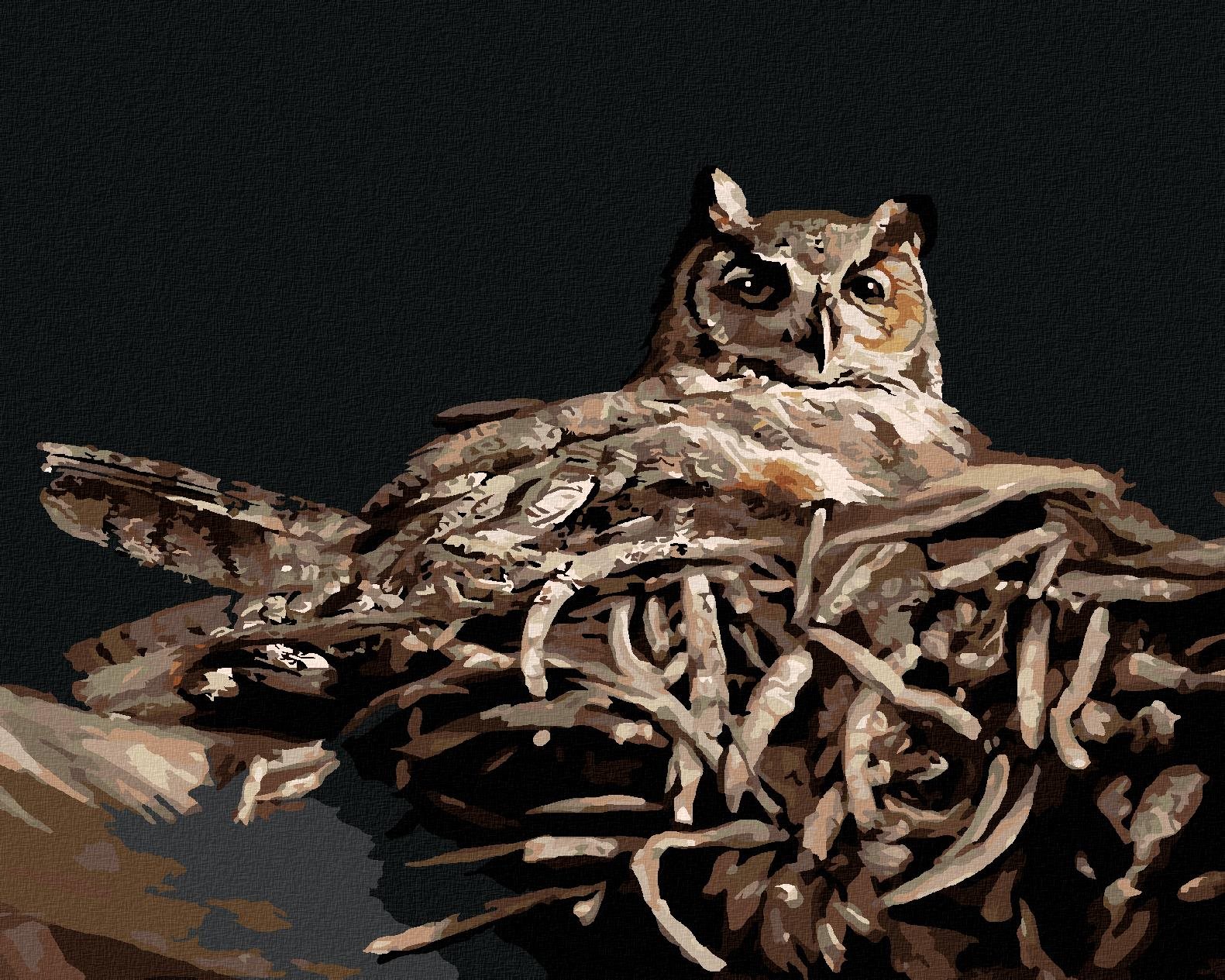 Zuty – Maľovanie podľa čísel – Sova v hniezde v noci (D. Rusty Rust), 80 × 100 cm, plátno