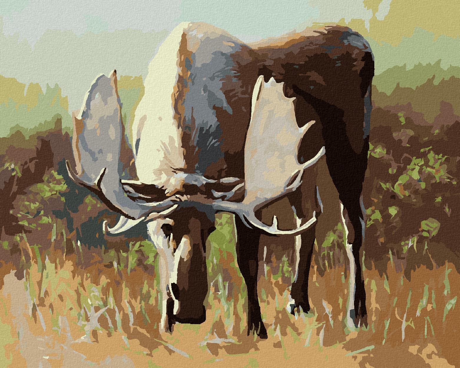 Zuty – Maľovanie podľa čísel – Osamelý los na pastvine (D. Rusty Rust), 40 × 50 cm, plátno