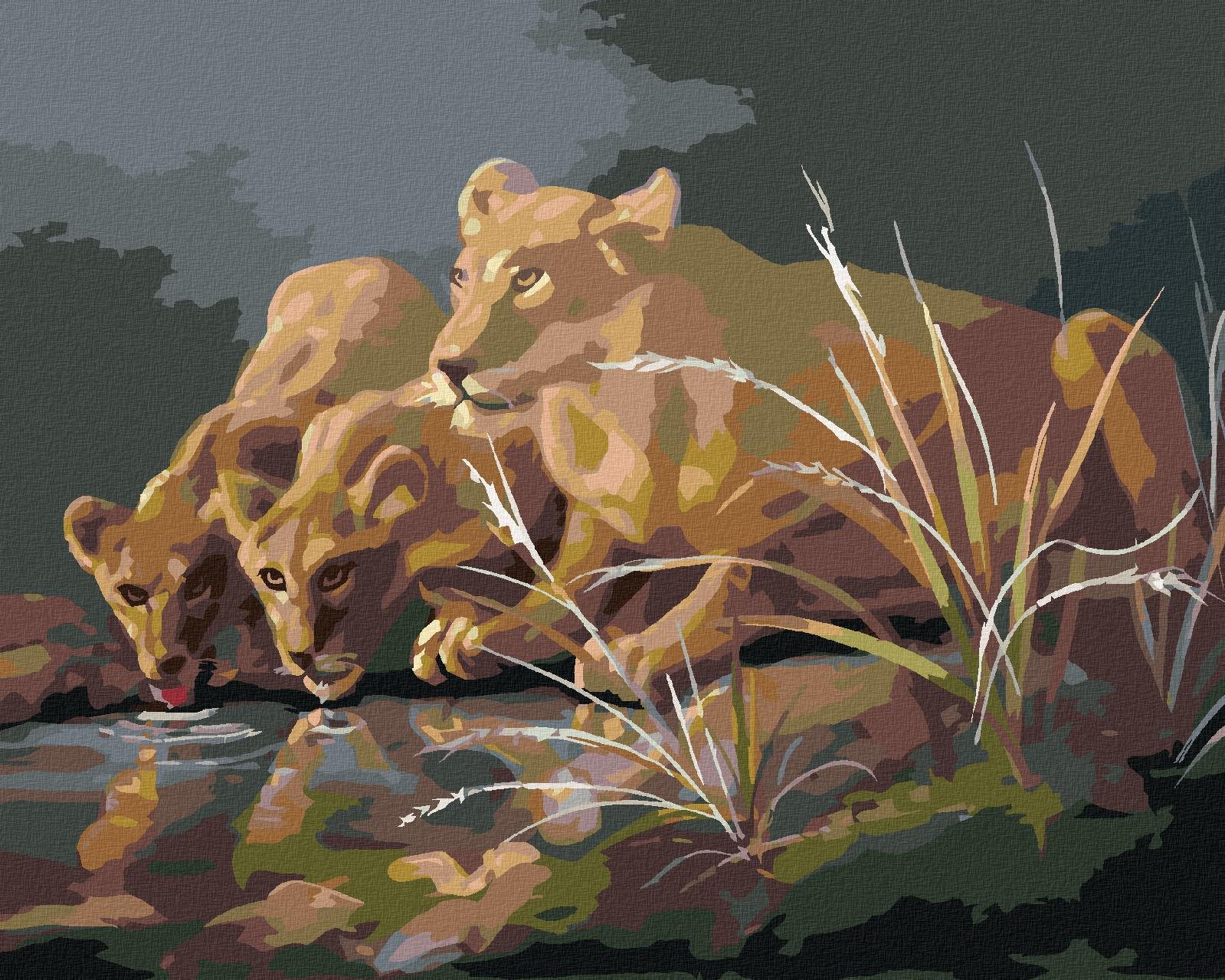 Zuty – Maľovanie podľa čísel – Levica pri napájadle v tme (D. Rusty Rust), 40 × 50 cm, plátno + rám