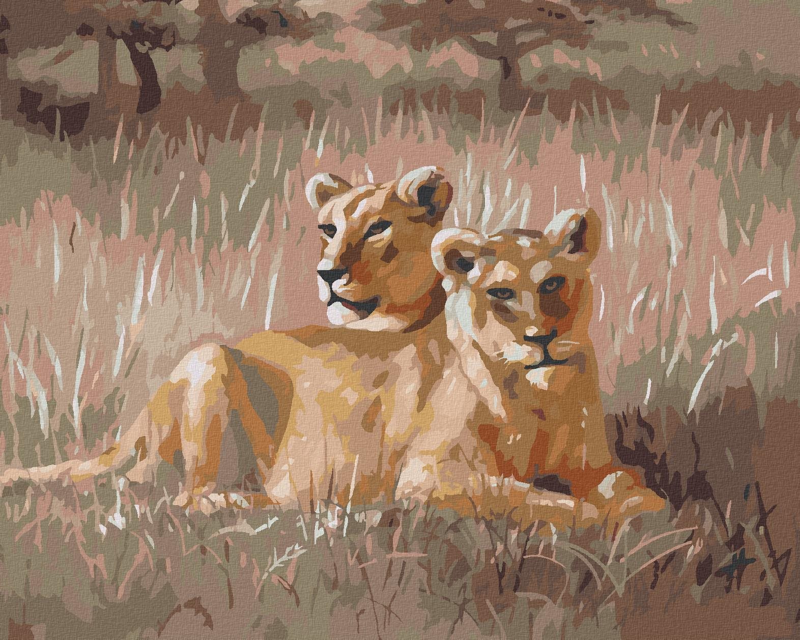 Zuty – Maľovanie Podľa Čísel – Odpočívajúci Lev (D. Rusty Rust), 40 × 50 cm, Plátno