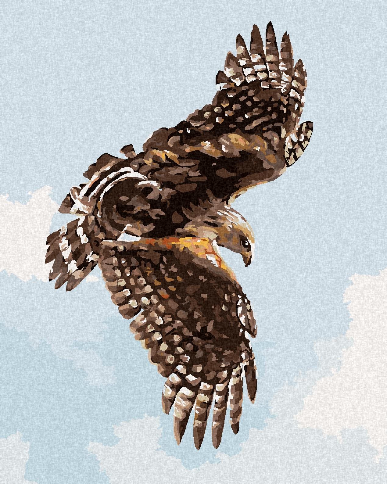 Zuty – Maľovanie Podľa Čísel – Jastrab (D. Rusty Rust), 40 × 50 cm, Plátno + Rám
