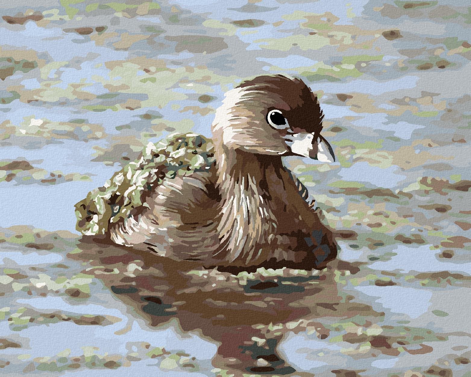 Zuty – Maľovanie Podľa Čísel – Potápka (D. Rusty Rust), 40 × 50 cm, Plátno