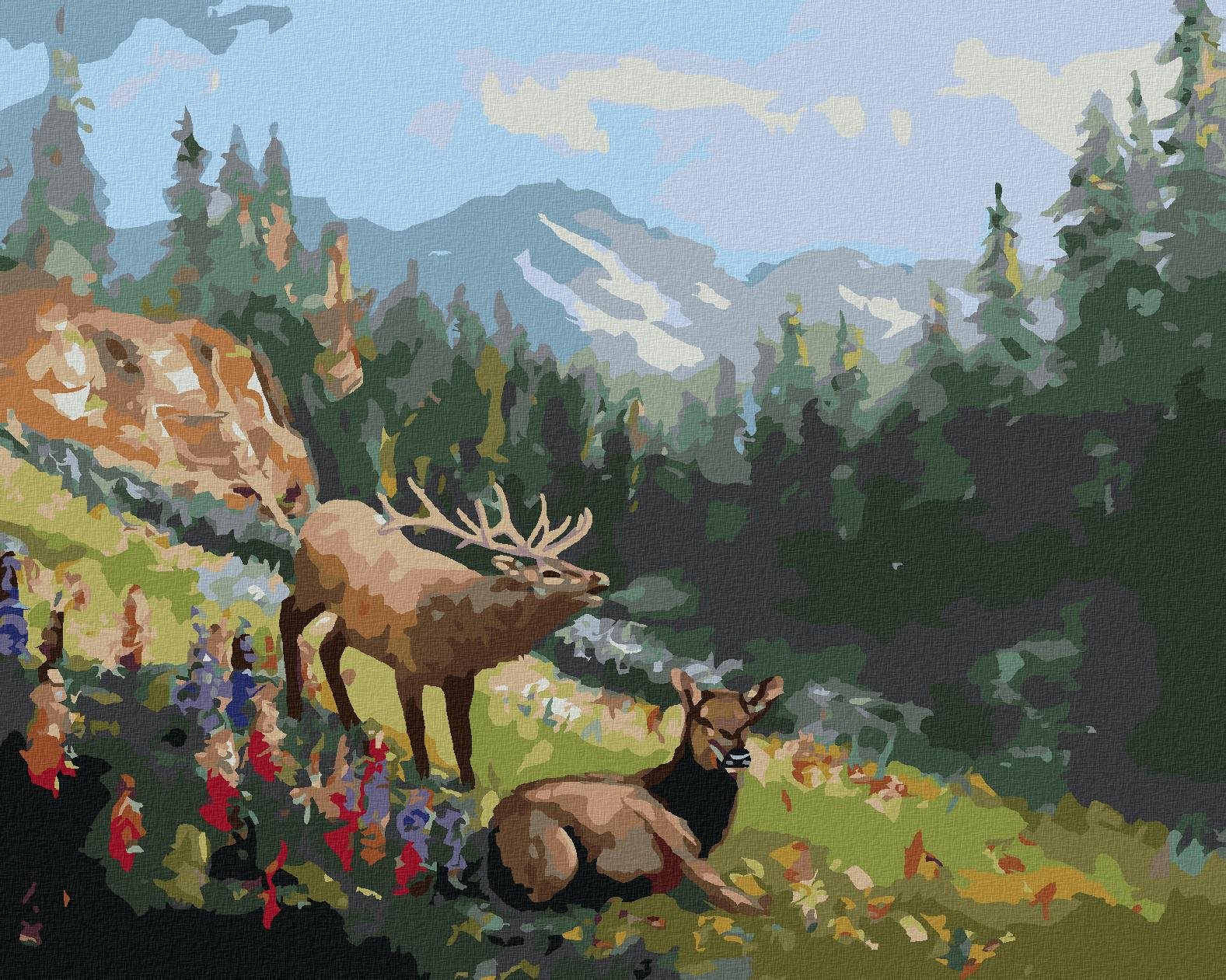 Zuty – Maľovanie Podľa Čísel – Los Na Poľane (D. Rusty Rust), 40 × 50 cm, Plátno