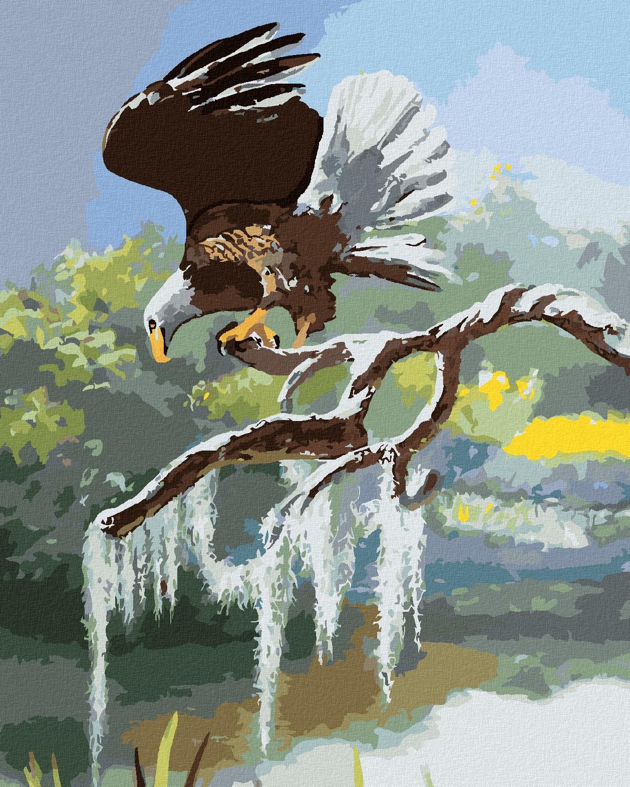 Zuty – Maľovanie Podľa Čísel – Orol Na Konári Pri Vode (D. Rusty Rust), 40 × 50 cm, Plátno