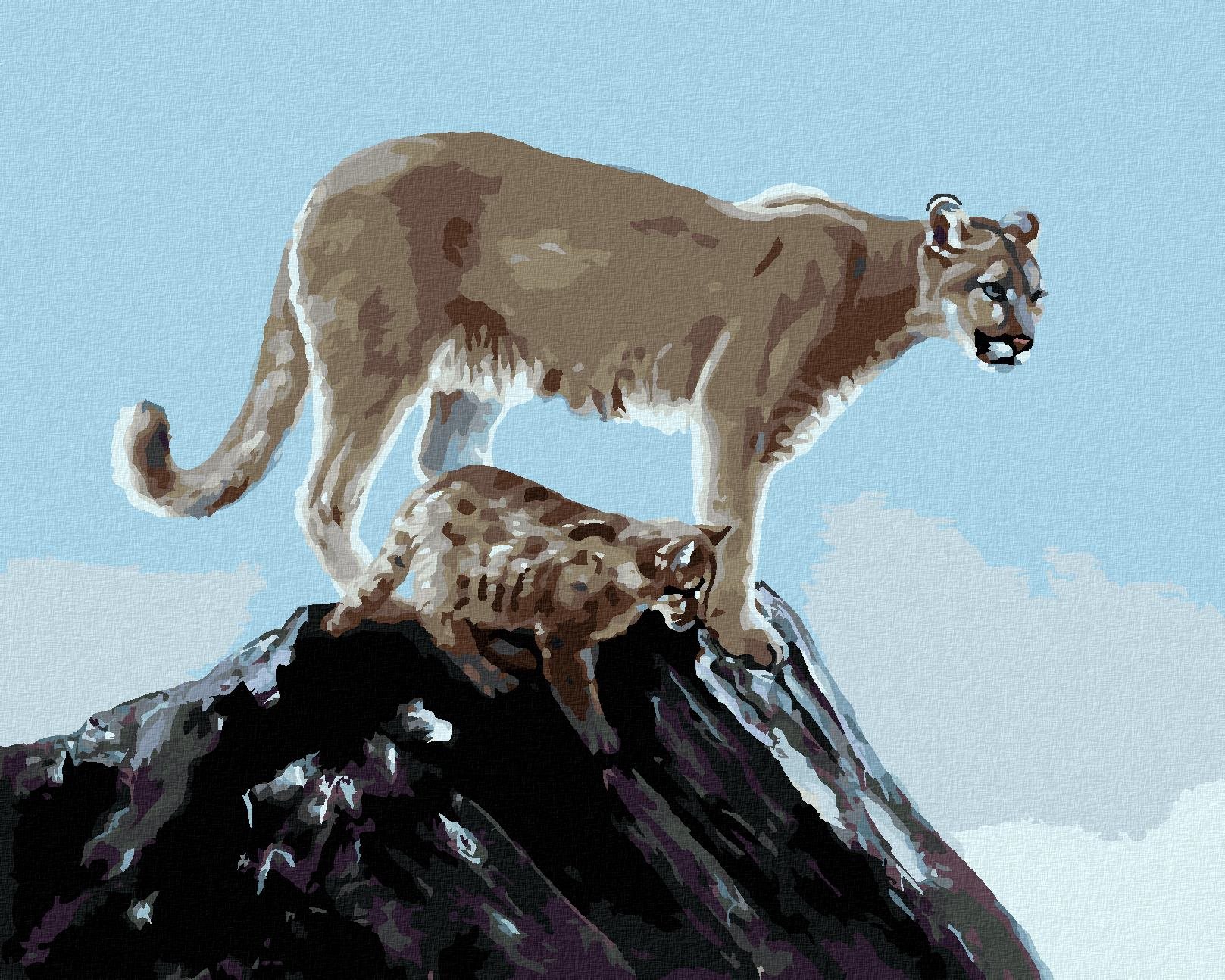 Zuty – Maľovanie Podľa Čísel – Puma S Mláďaťom (D. Rusty Rust), 40 × 50 cm, Plátno + Rám