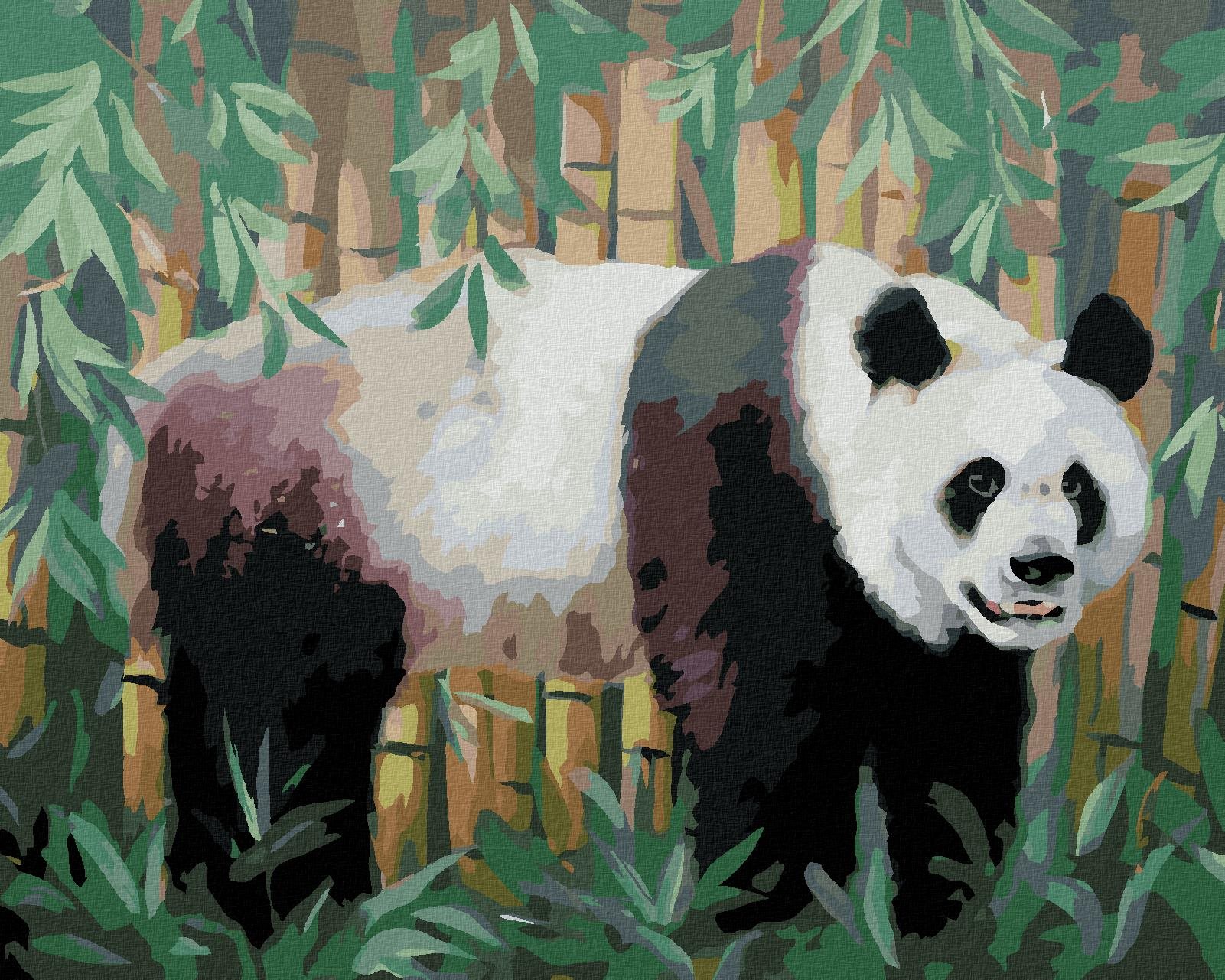 Zuty – Maľovanie Podľa Čísel – Panda A Bambus (D. Rusty Rust), 40 × 50 cm, Plátno + Rám