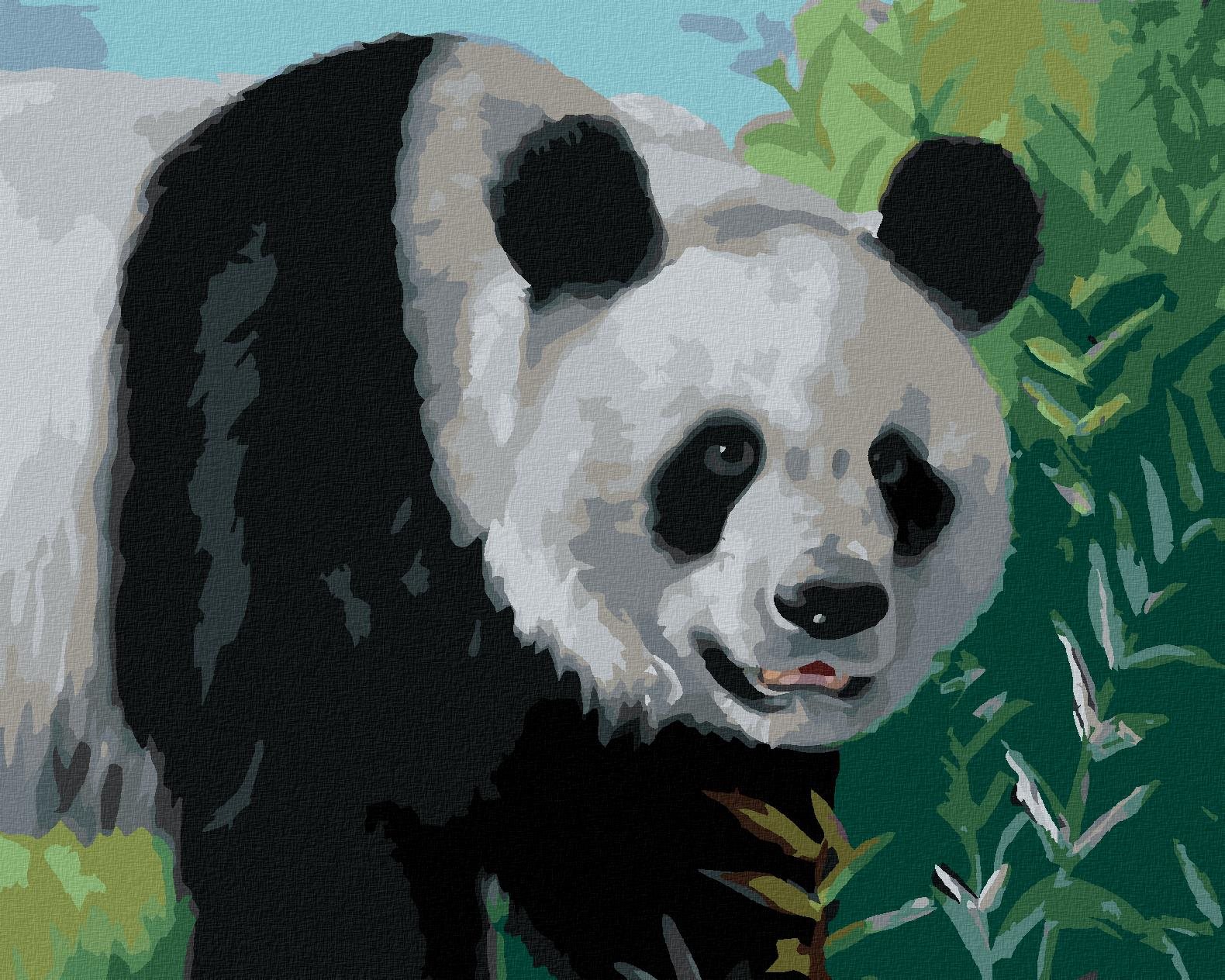 Zuty – Maľovanie Podľa Čísel – Panda (D. Rusty Rust), 40 × 50 cm, Plátno + Rám