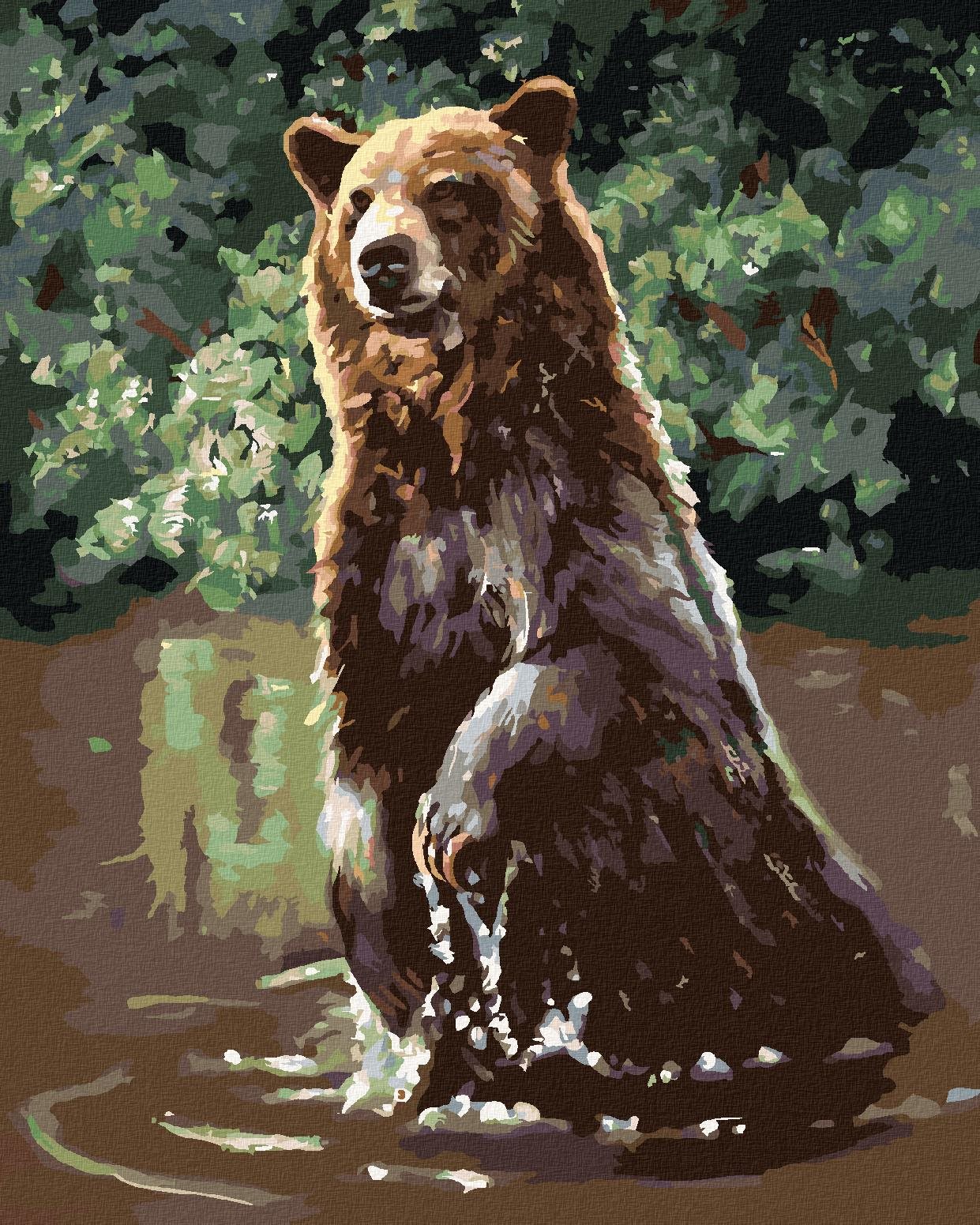 Zuty – Maľovanie Podľa Čísel – Medveď Vo Vode (D. Rusty Rust), 40 × 50 cm, Plátno + Rám