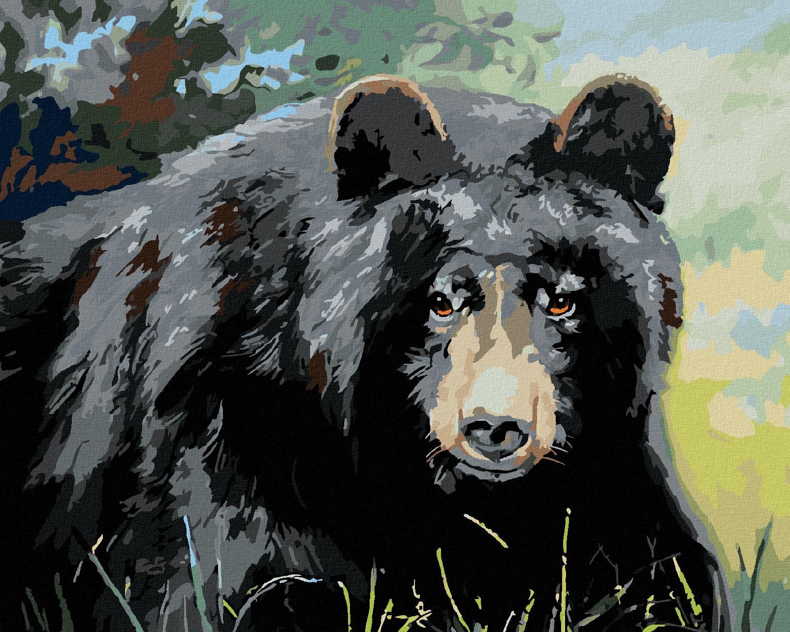 Zuty – Maľovanie Podľa Čísel – Medveď Pohľad Do Očí (D. Rusty Rust), 40 × 50 cm, Plátno + Rám