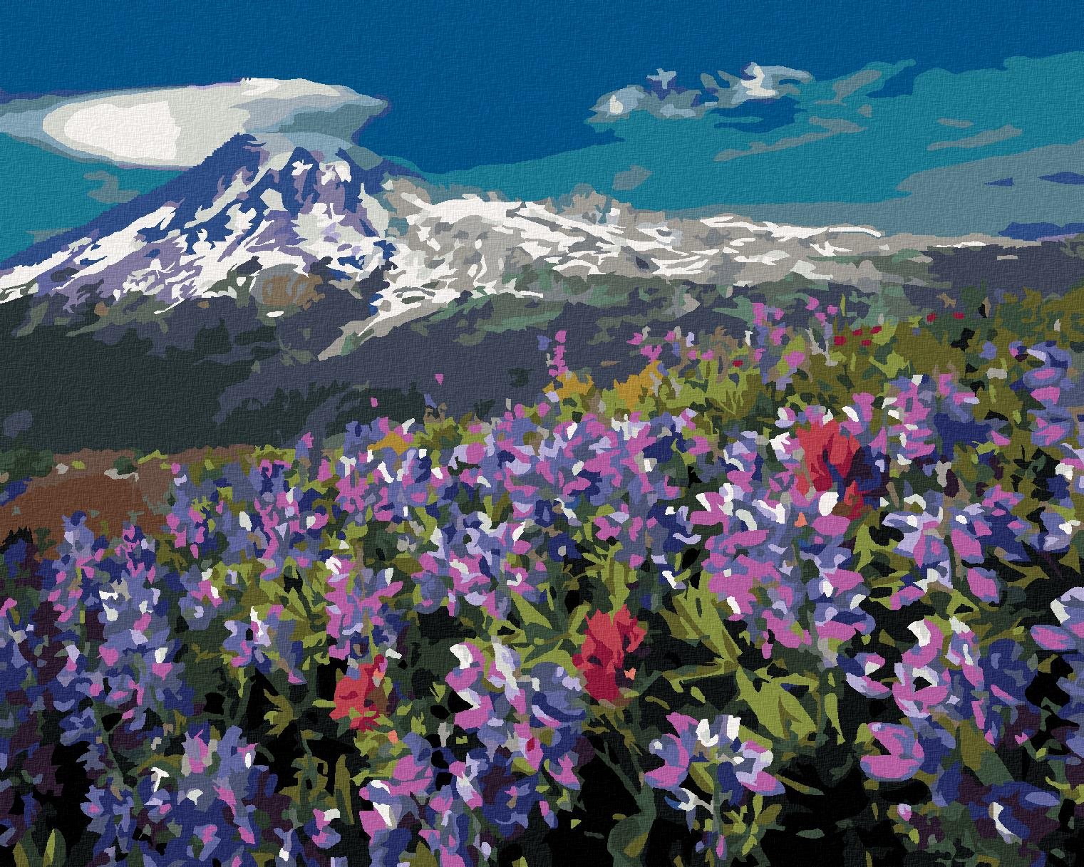 Zuty – Maľovanie Podľa Čísel – Fialové Kvetiny V Horách (Dennis Frates), 40 × 50 cm, Plátno + Rám