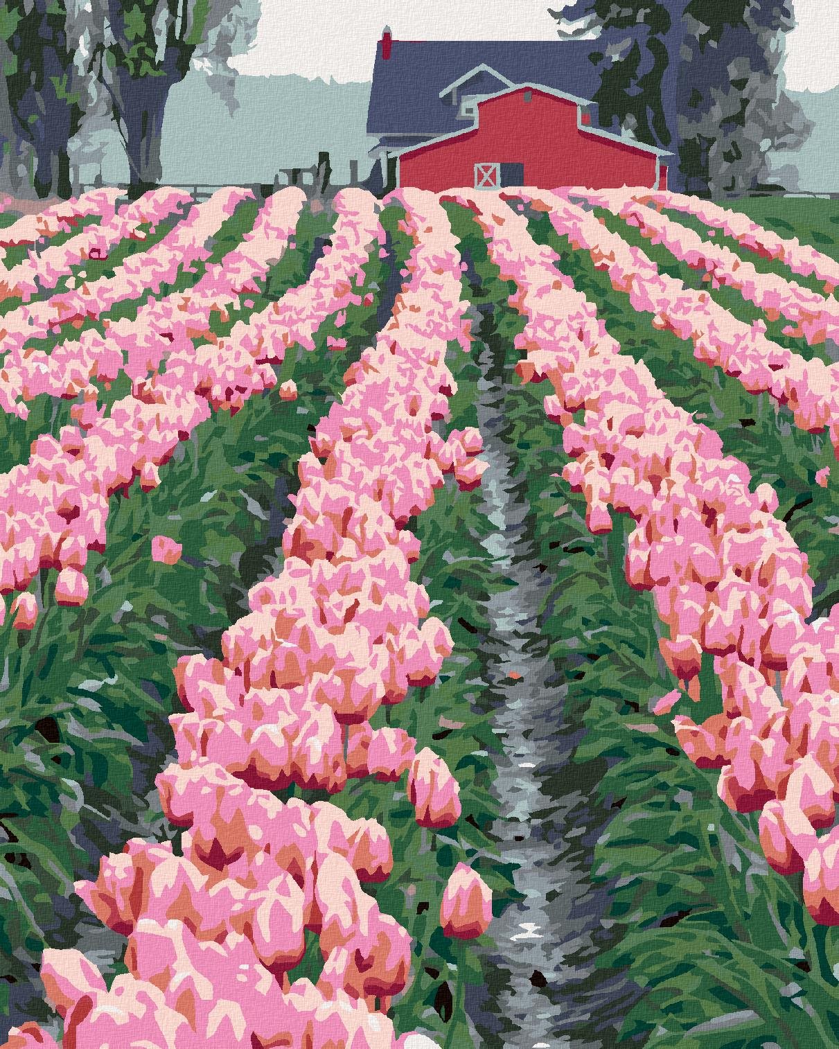 Zuty – Maľovanie Podľa Čísel – Ružové Tulipány Pri Stodole (Dennis Frates), 40 × 50 cm, Plátno + Rám