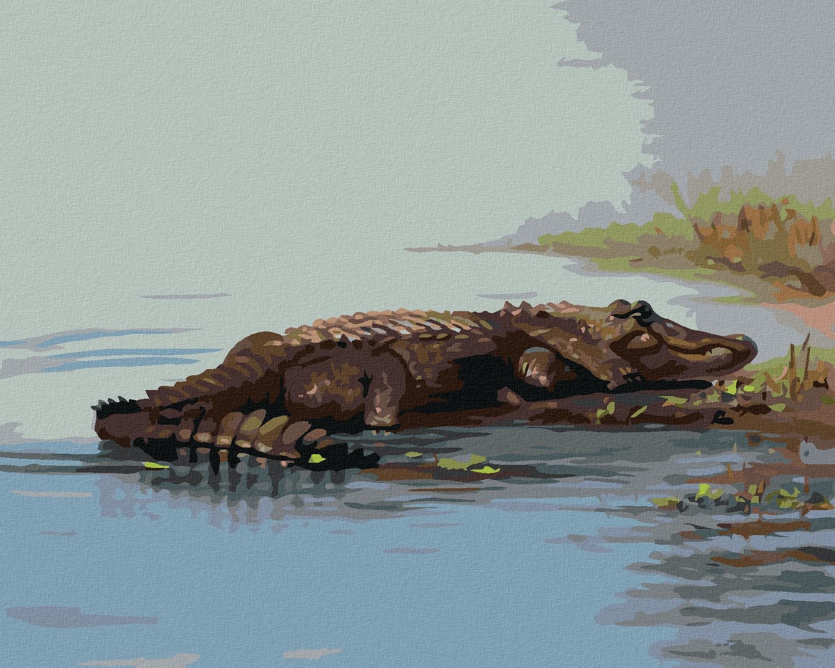 Zuty – Maľovanie Podľa Čísel – Aligátor Ležiaci Vo Vode (D. Rusty Rust), 40 × 50 cm, Plátno